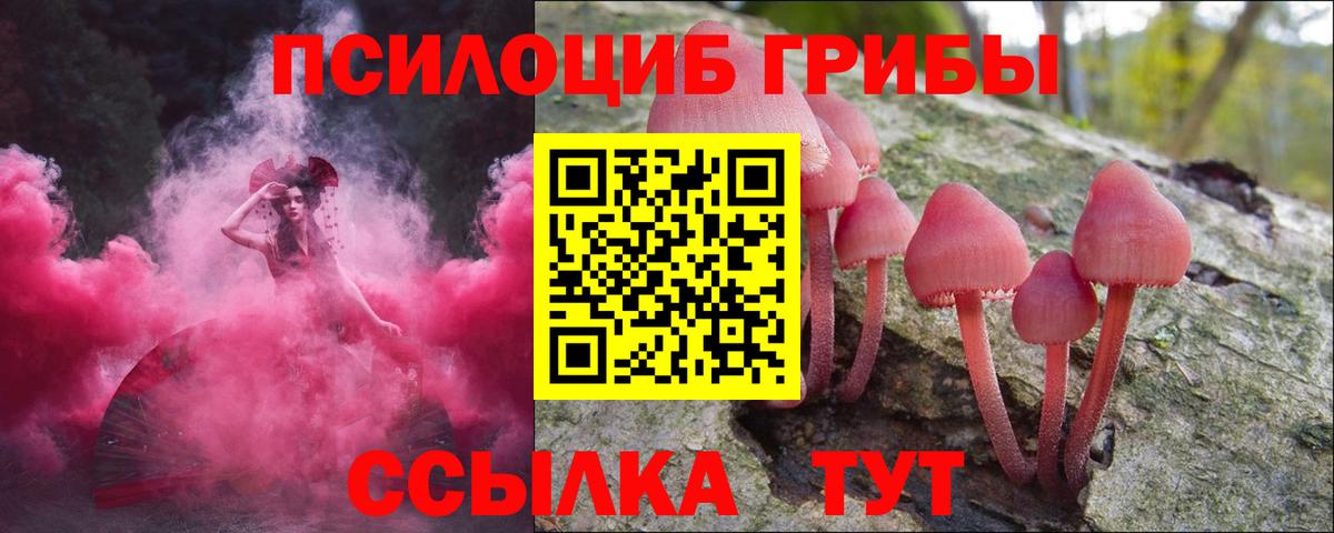 Галлюциногенные грибы мицелий Абакан